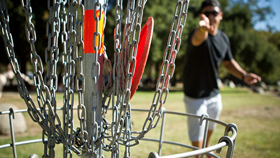 disc golf target goal closeup