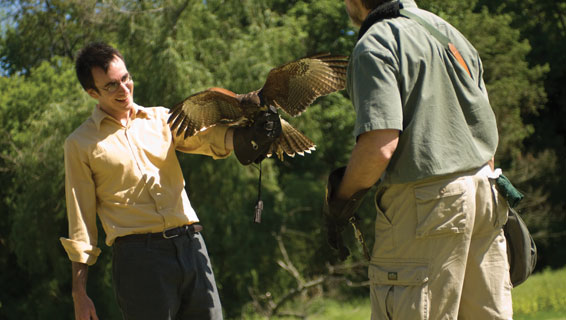 The Falconry Experience