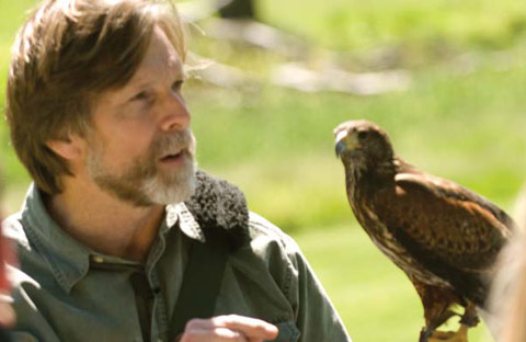 Falconry Experience The Hotel Hershey