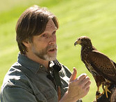 Falconry